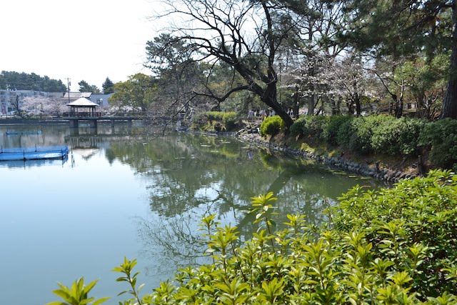 日本庭園の修景池となっている鶴舞公園の竜ヶ池と浮見堂