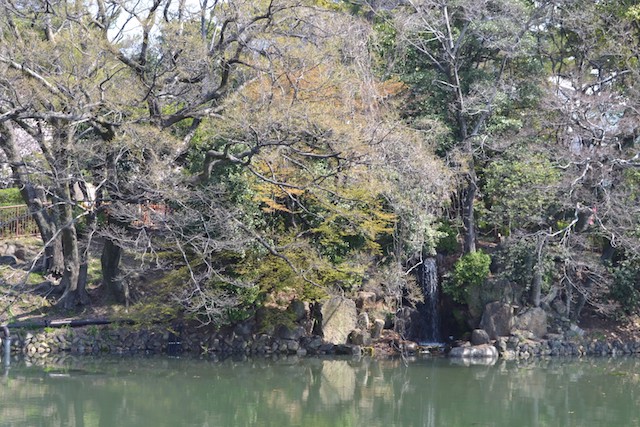 鶴舞公園の竜ヶ池に流れ落ちる「酒匂の滝」