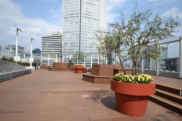サウスゲートビル17階「太陽の広場」のウッドデッキと季節の草花