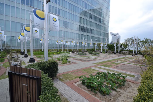 大阪駅ノースゲートビル14階に設けられた、地場野菜やハーブなどの畑「天空の農園」