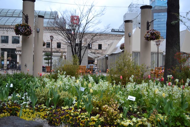 「久屋大通庭園フラリエ」ハーモニーガーデンに咲く季節の花々